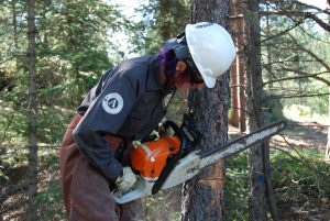 MHYC conservation member with chainsaw on tree.