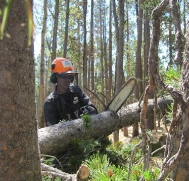 Corpsmember using a chainsaw