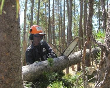 Corpsmember using a chainsaw