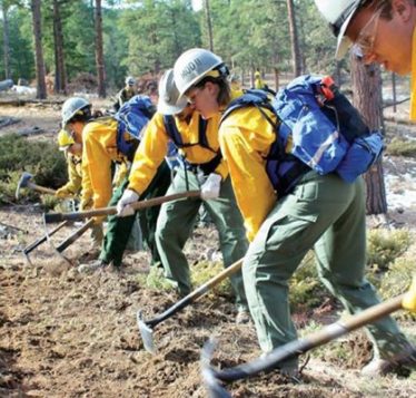 Corpsmembers digging in the forest