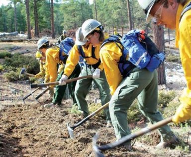 Corpsmembers digging in the forest