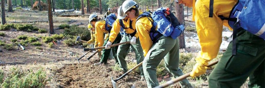 Corpsmembers digging in the forest