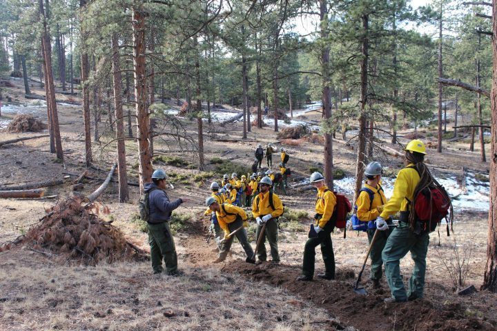 Corpsmembers in forest holding chainsaws.