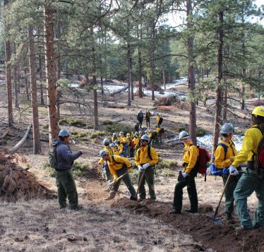 Corpsmembers in forest holding chainsaws.