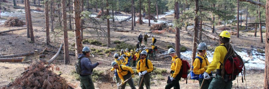 Corpsmembers in forest holding chainsaws.