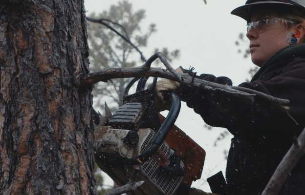 MHYC member cutting down tree.