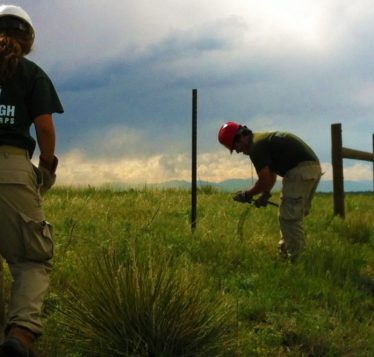 MHYC Land Conservation crew working on land.