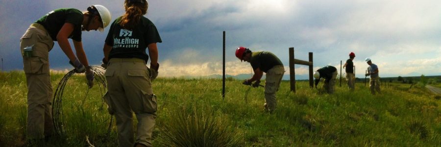 MHYC Land Conservation crew working on land.