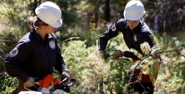 MHYC members removing tree limbs.
